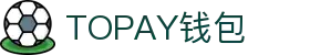 TOPAY钱包 - 安全便捷的个人财务管理工具